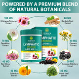 Echoes of the Spring Echinacea 240 Softgels side view with label