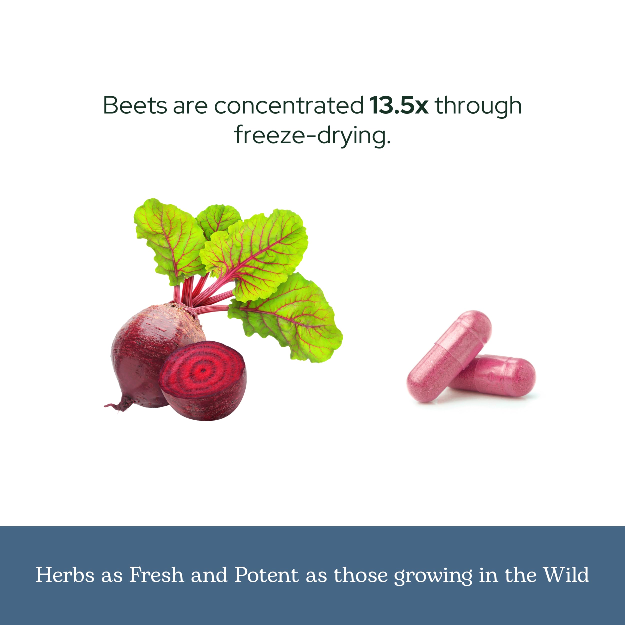 ECLECTIC INSTITUTE Beet Juice Capsules with measuring spoon