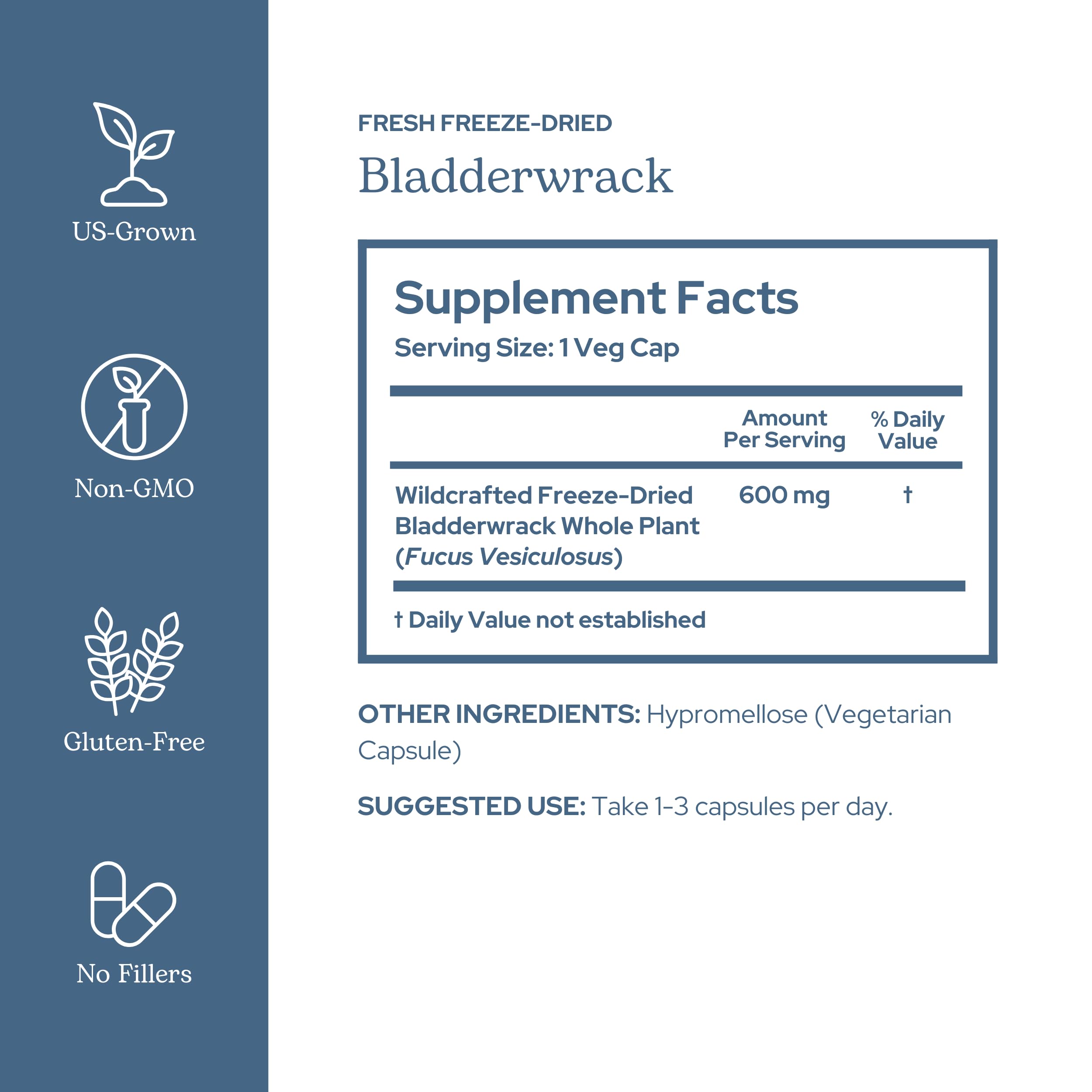 ECLECTIC INSTITUTE Bladderwrack Capsules bottle side view