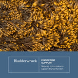 ECLECTIC INSTITUTE Bladderwrack Capsules nutritional information