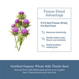 ECLECTIC INSTITUTE Milk Thistle Supplement back view