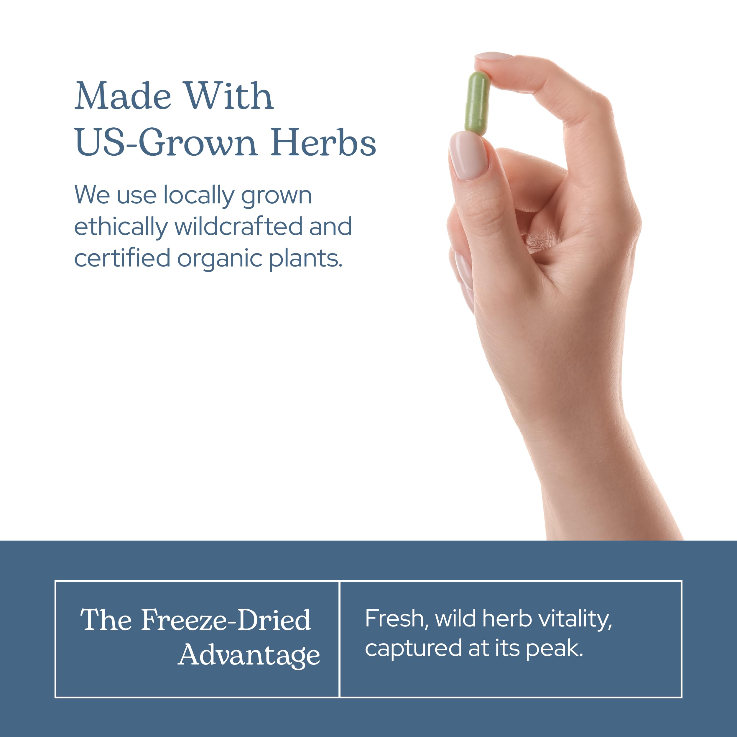 ECLECTIC INSTITUTE Multivitamin Capsules in a natural setting