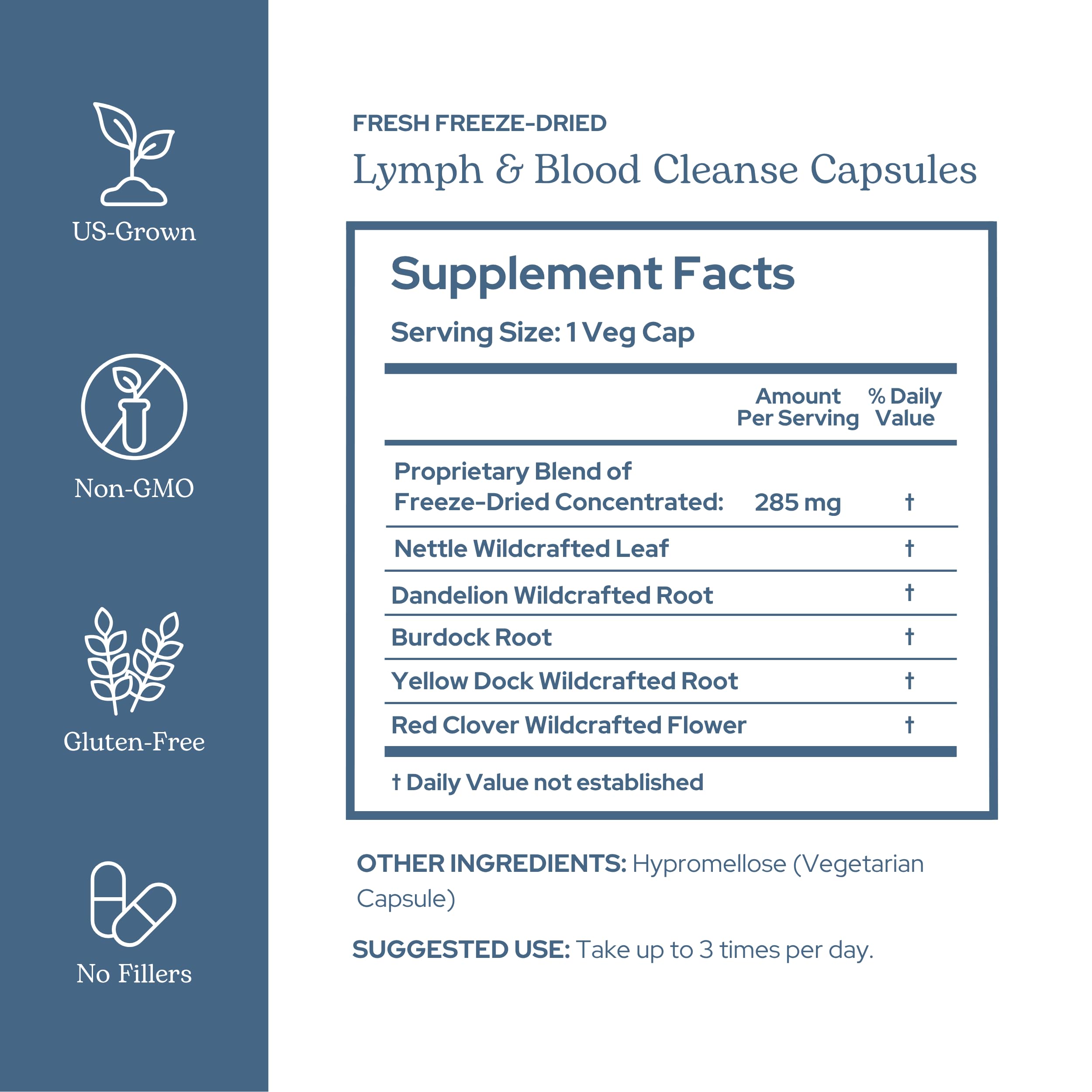 ECLECTIC INSTITUTE Multivitamin Capsules side view showing capsule