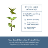 ECLECTIC INSTITUTE Nettle Supplement with fresh nettles