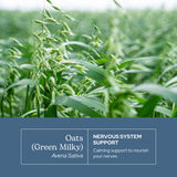 ECLECTIC INSTITUTE Oats Capsules side view with label