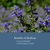 ECLECTIC INSTITUTE Skullcap Capsules in a lifestyle setting
