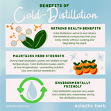ECLECTIC INSTITUTE St. John's Wort Herbal Supplement ingredients list