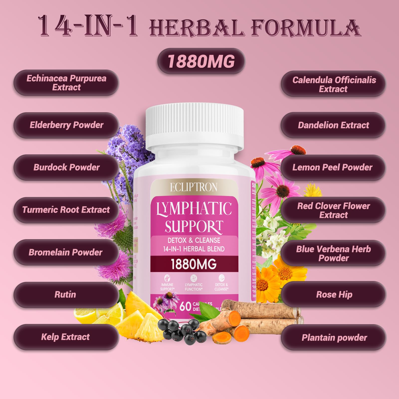 Ecliptron Echinacea supplement bottle with label
