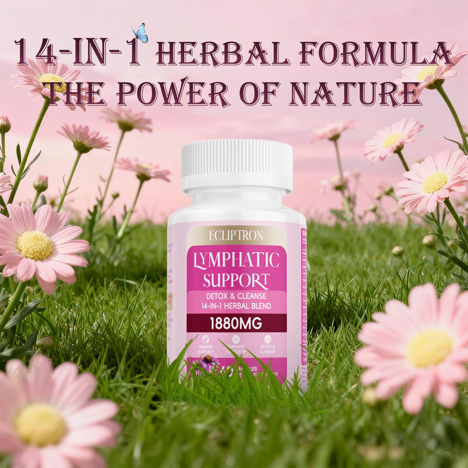 Ecliptron Echinacea supplement packaging display