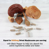 ECO-TASTE Mushroom Capsules lifestyle scene on kitchen counter