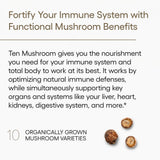 EcoNugenics Ten Mushroom Supplement bottle with label
