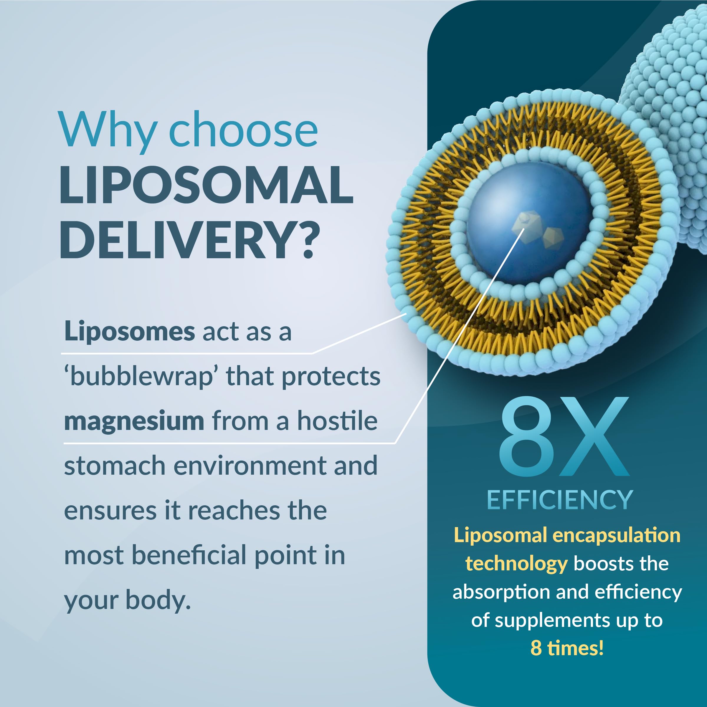 Ecosh Liposomal Magnesium Citrate Supplement side view