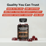 Effective Nutra Mushroom Gummies 2500mg ingredients list