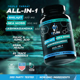 eFlow Nutrition Shilajit Ashwagandha Sea Moss Capsules on a table