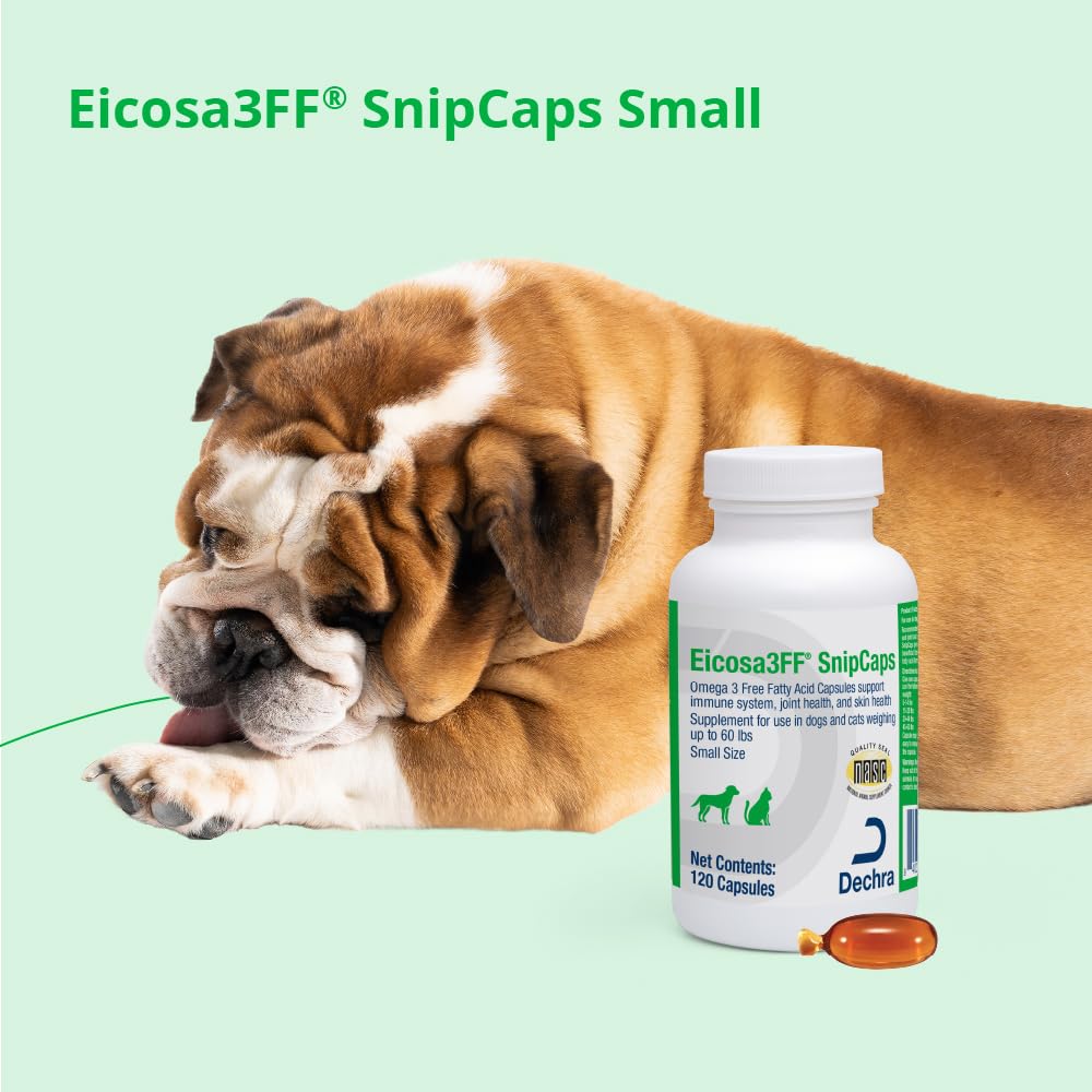 Eicosa3FF Omega-3 SnipCaps back view packaging