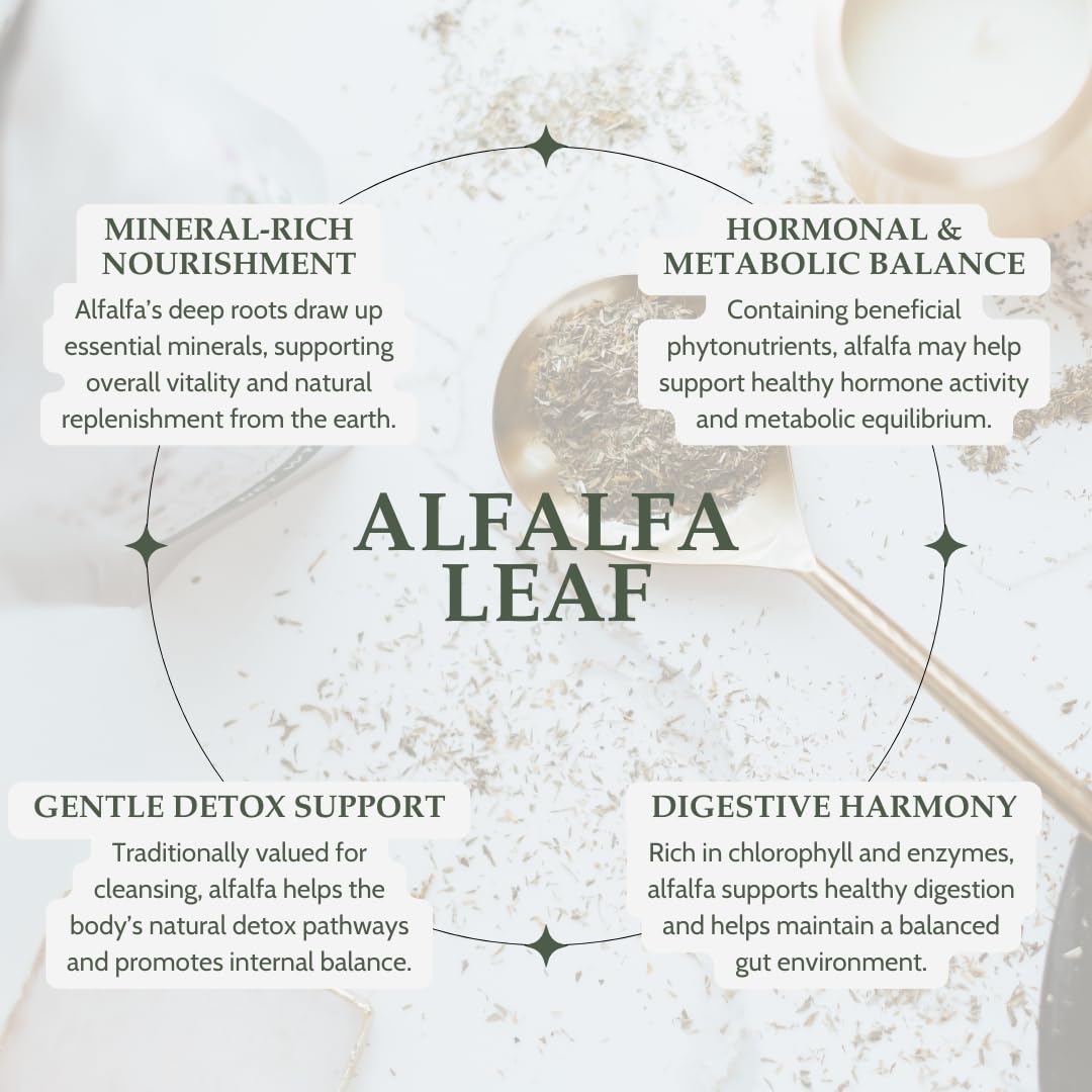 Elanen Naturals Alfalfa Leaf Herb 113g with loose leaf tea