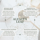 Elanen Naturals Alfalfa Leaf Herb 113g with loose leaf tea