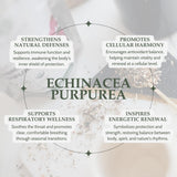 Elanen Naturals Organic Echinacea Purpurea Herb loose leaves