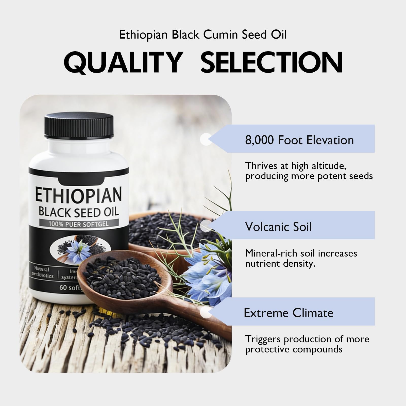 elesysy Black Seed Oil Softgels back view with ingredient list