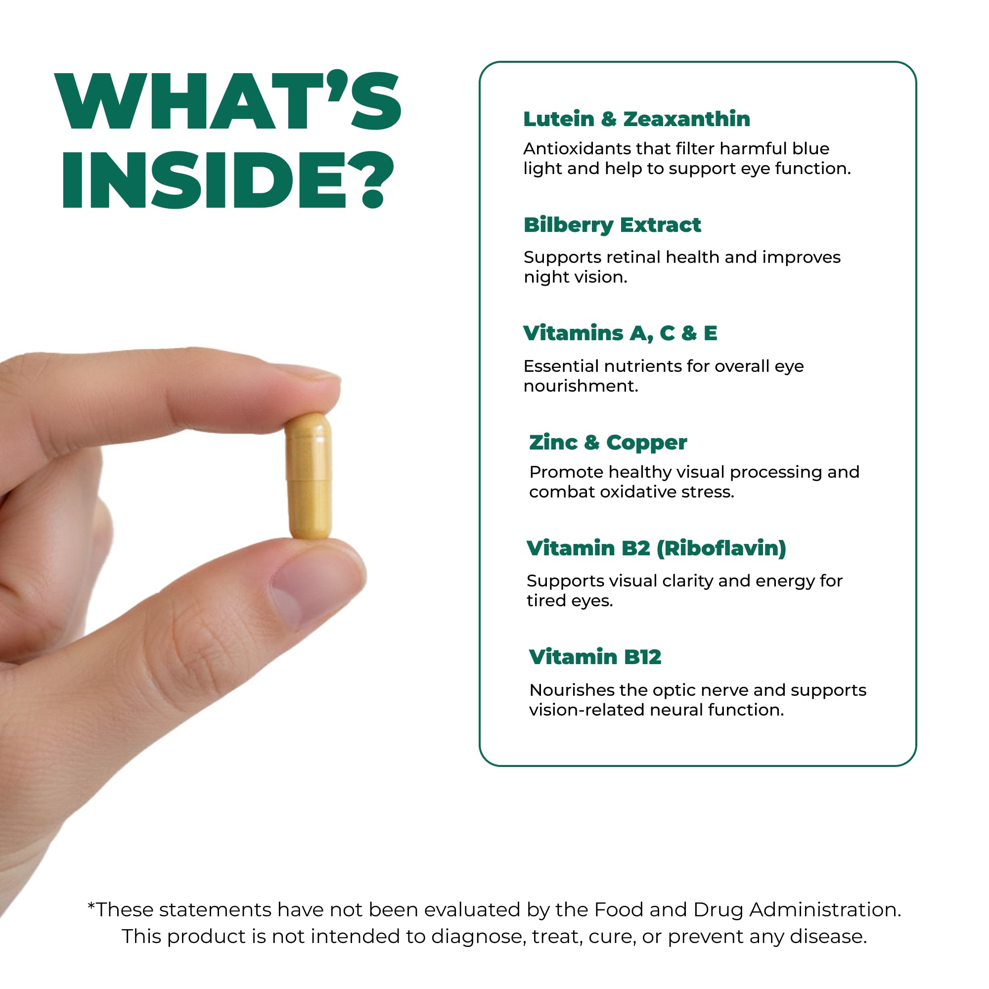 ELICORE Vision+ Eye Support Blend ingredients list