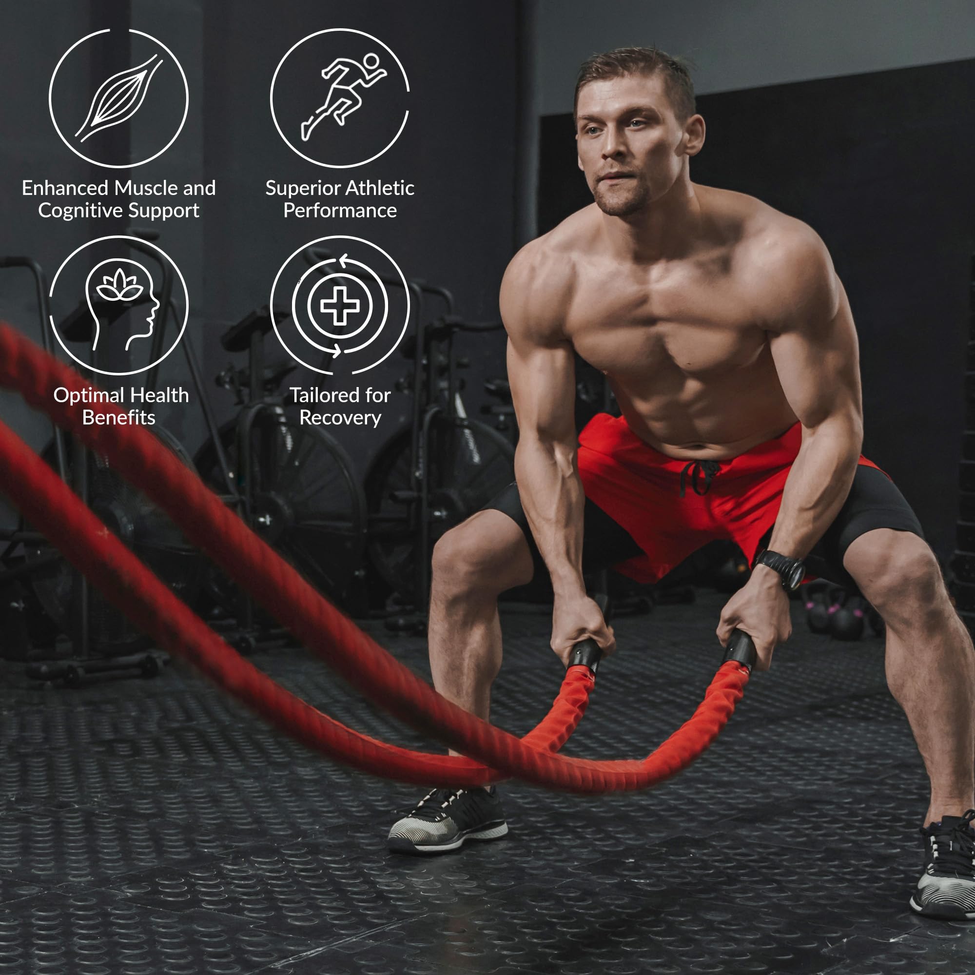 ELITE WELLNESS VITALITY Creatine Monohydrate 445g scoop