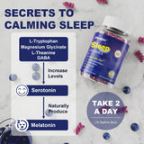 ELLAMENTZ Melatonin-Free Sleep Supplement Gummies ingredients list