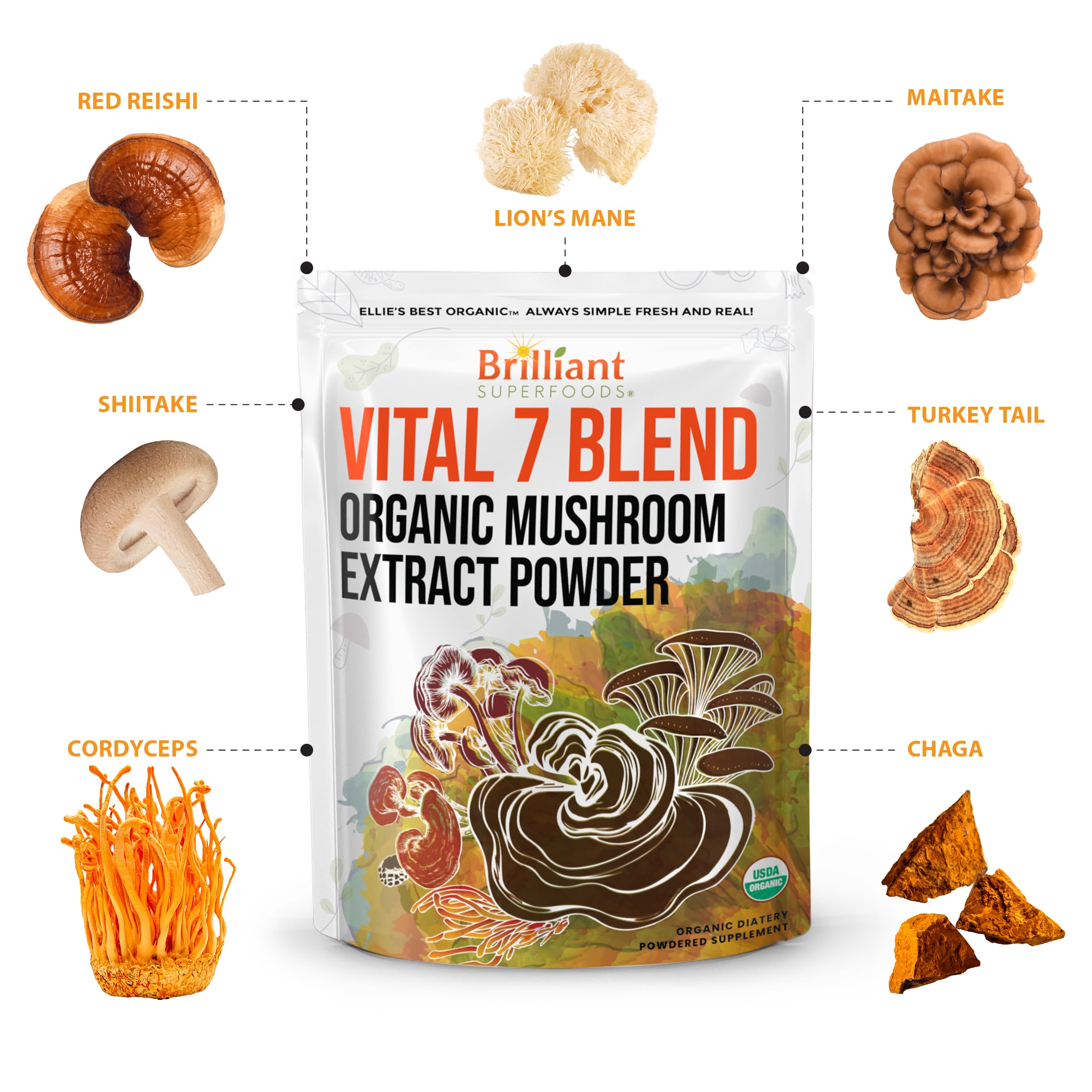 Ellie's Best Vital 7 Mushroom Blend in a coffee cup