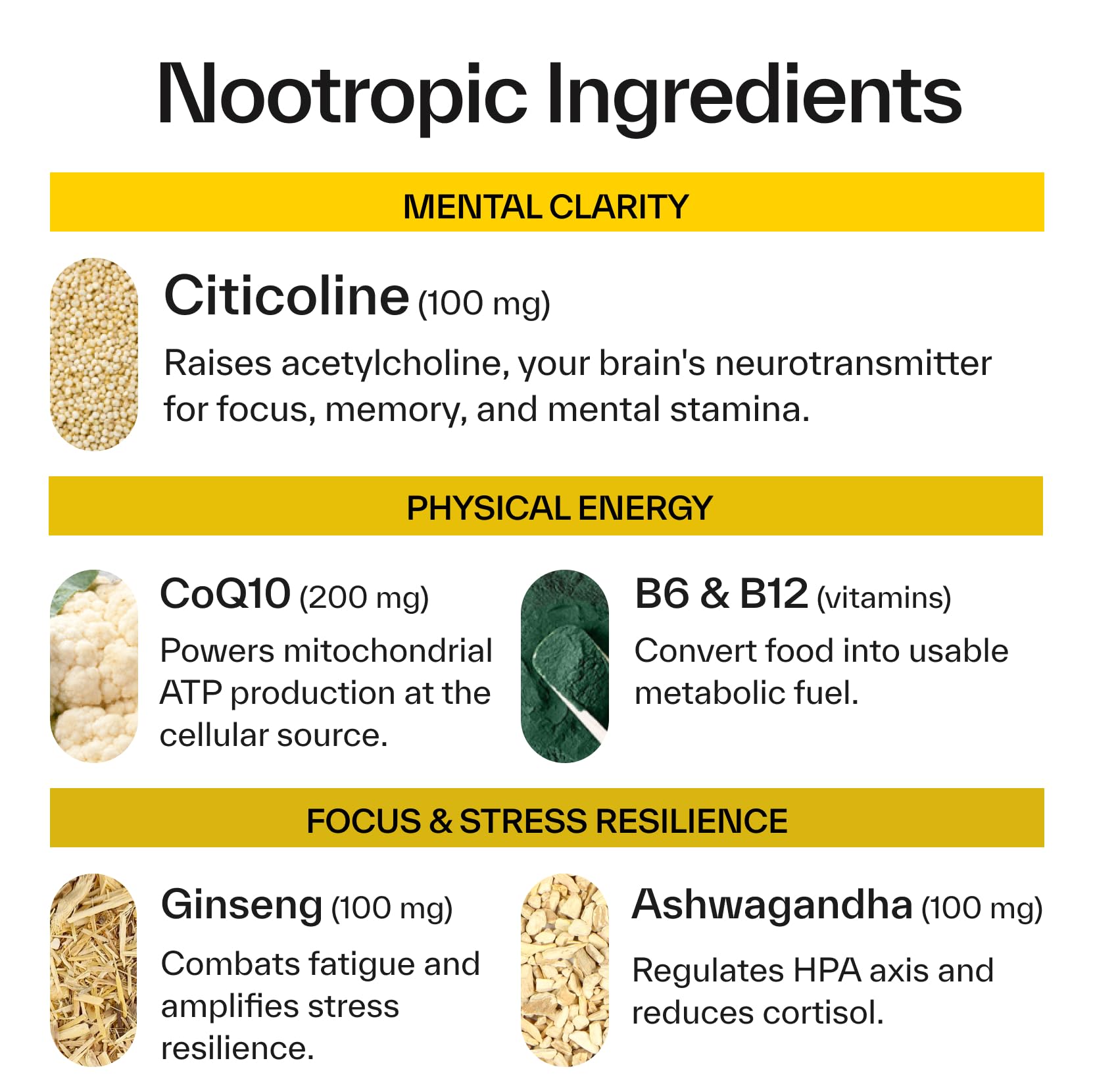 Elo Health Nootropic Energy Gummies nutritional information