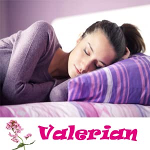 ELP ESSENTIAL Valerian Root Capsules 500mg with measuring spoon