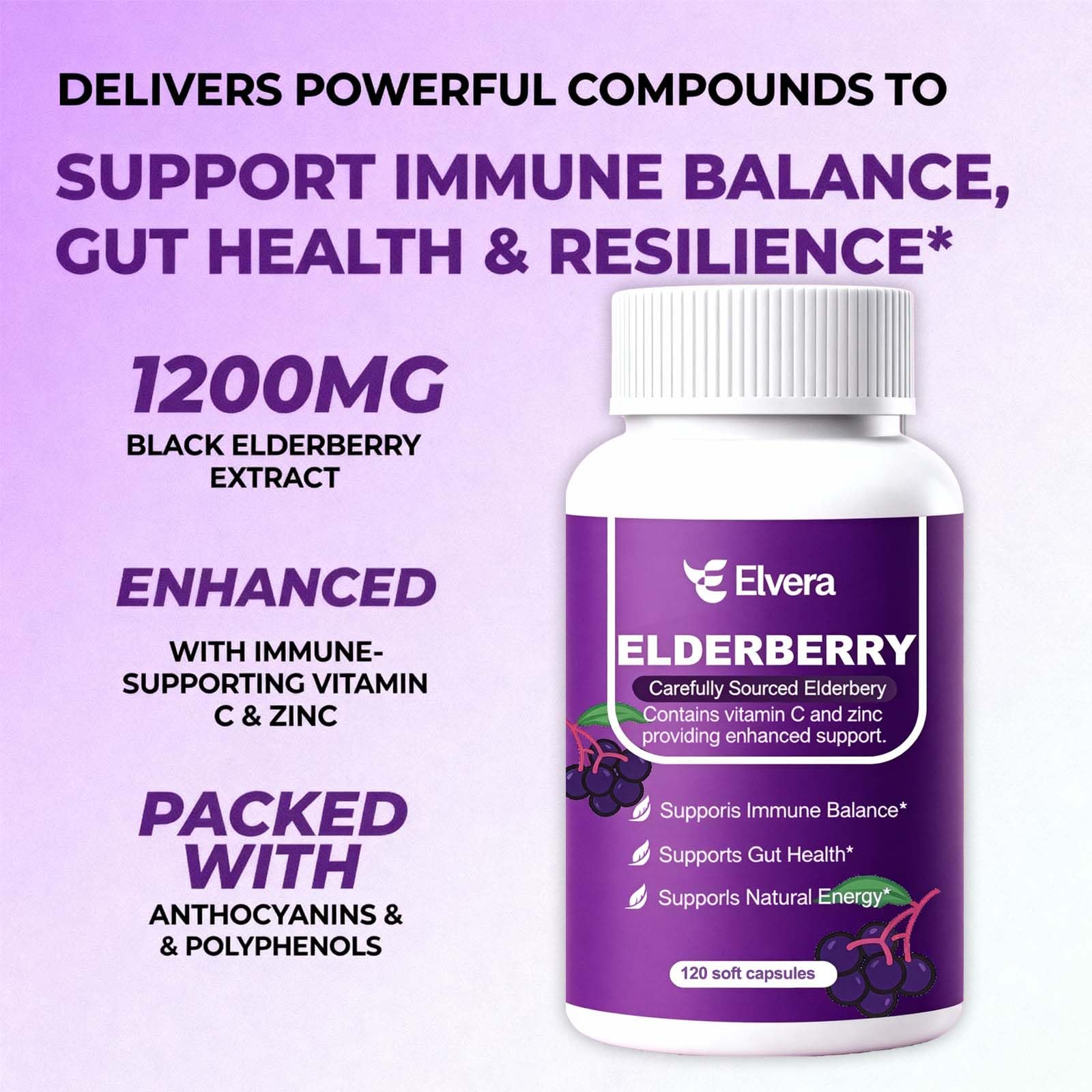 ELSORY Elvera Elderberry ingredients list on the label