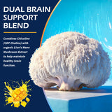 Elysx Citicoline Drops 500mg ingredients list