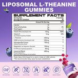 Elysx L-Theanine Gummies 400MG back view packaging