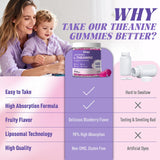 Elysx L-Theanine Gummies 400MG on a wooden table