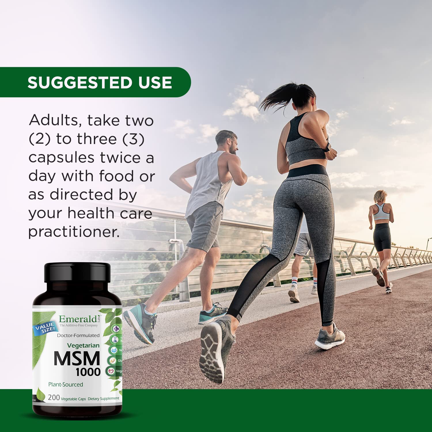 EMERALD LABS MSM Supplement 1000mg back view of packaging