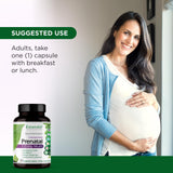 EMERALD LABS Prenatal Multivitamin capsules in a hand