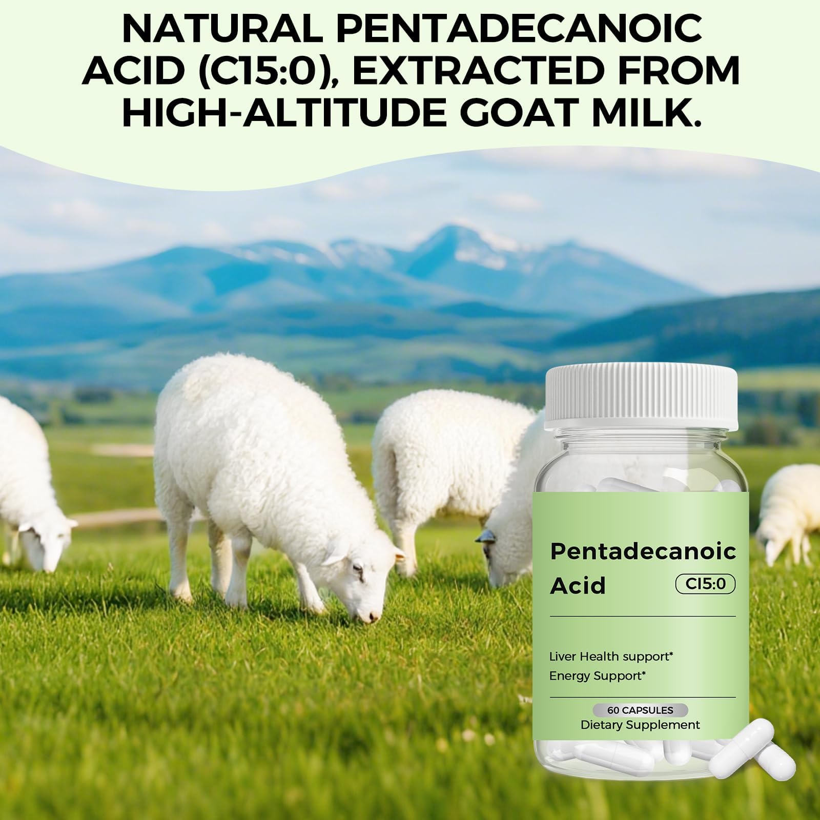 Engtozl Pentadecanoic Acid (C15:0) capsules bottle opened