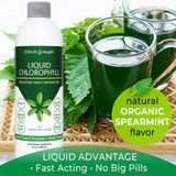 Eniva Health Chlorophyll Supplement 590g liquid with spearmint leaves