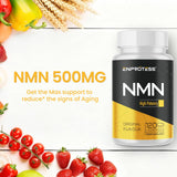 Enprotess NMN 500mg bottle side view