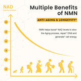 Enprotess NMN 500mg bottle with 120 lozenges