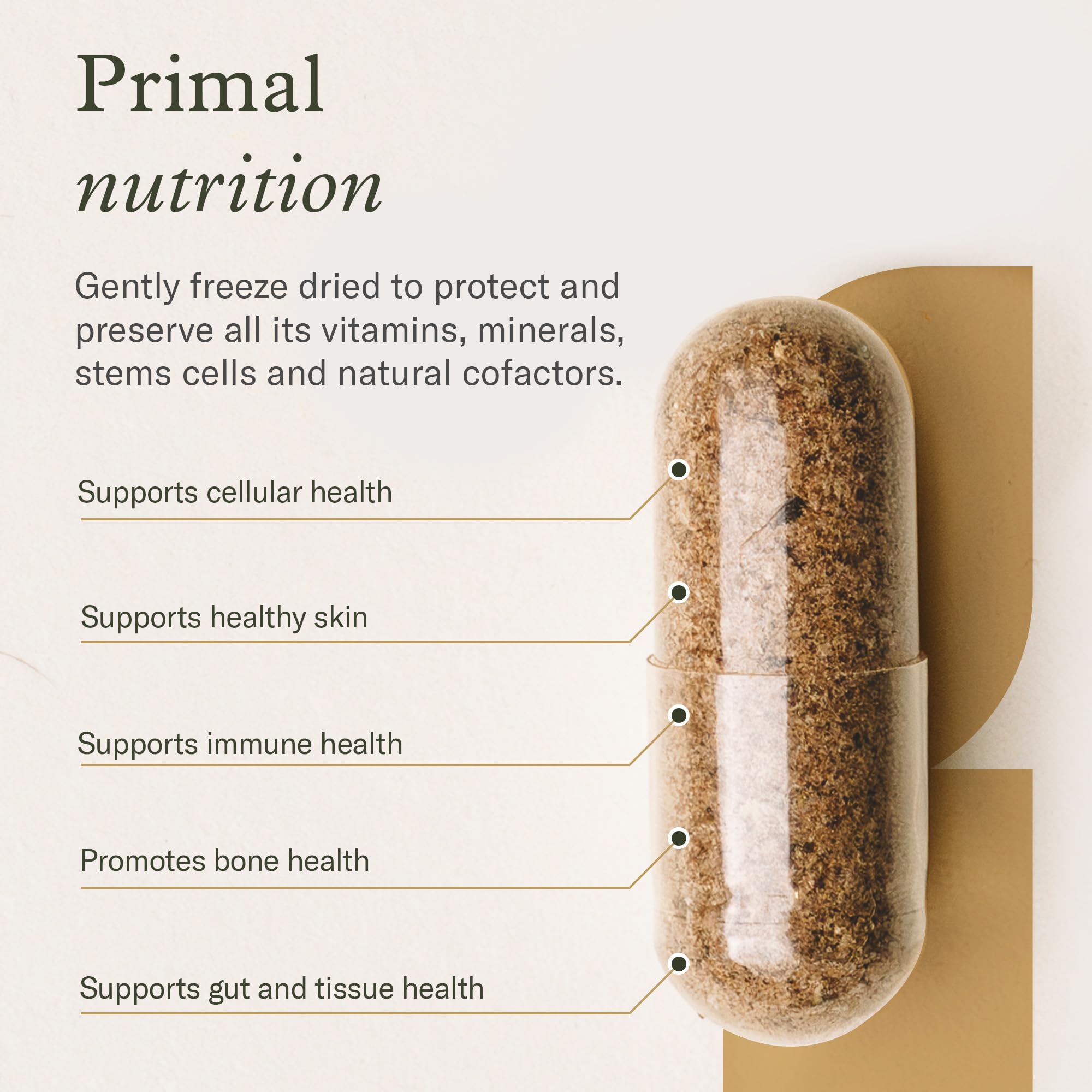 Enviromedica Bone Marrow Collagen Supplement capsule close-up