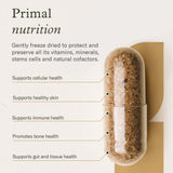 Enviromedica Bone Marrow Collagen Supplement capsule close-up