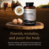 Enviromedica Bone Marrow Collagen Supplement packaging side view