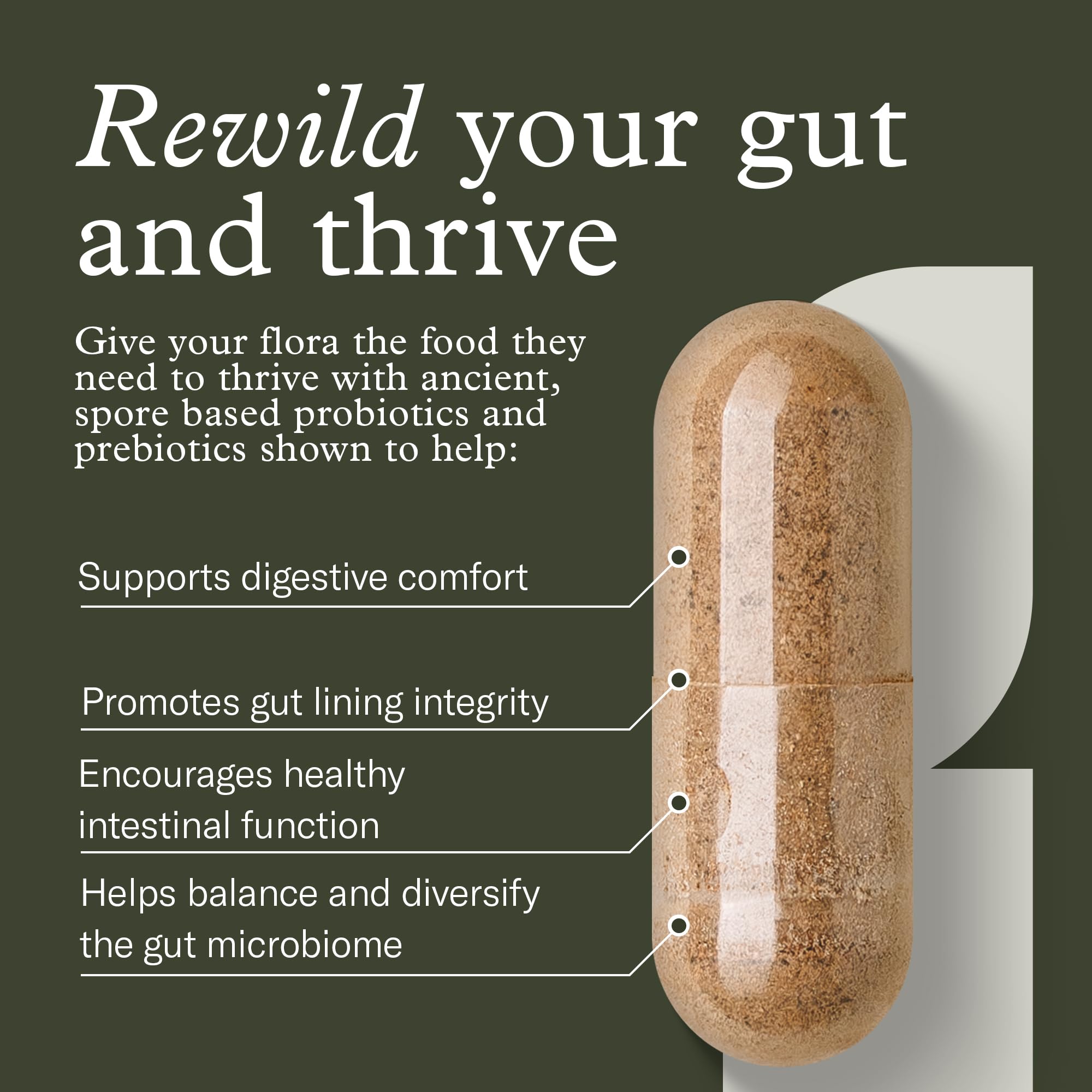 Enviromedica Terraflora Daily Care Synbiotic Probiotic ingredients list