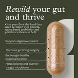 Enviromedica Terraflora Daily Care Synbiotic Probiotic ingredients list