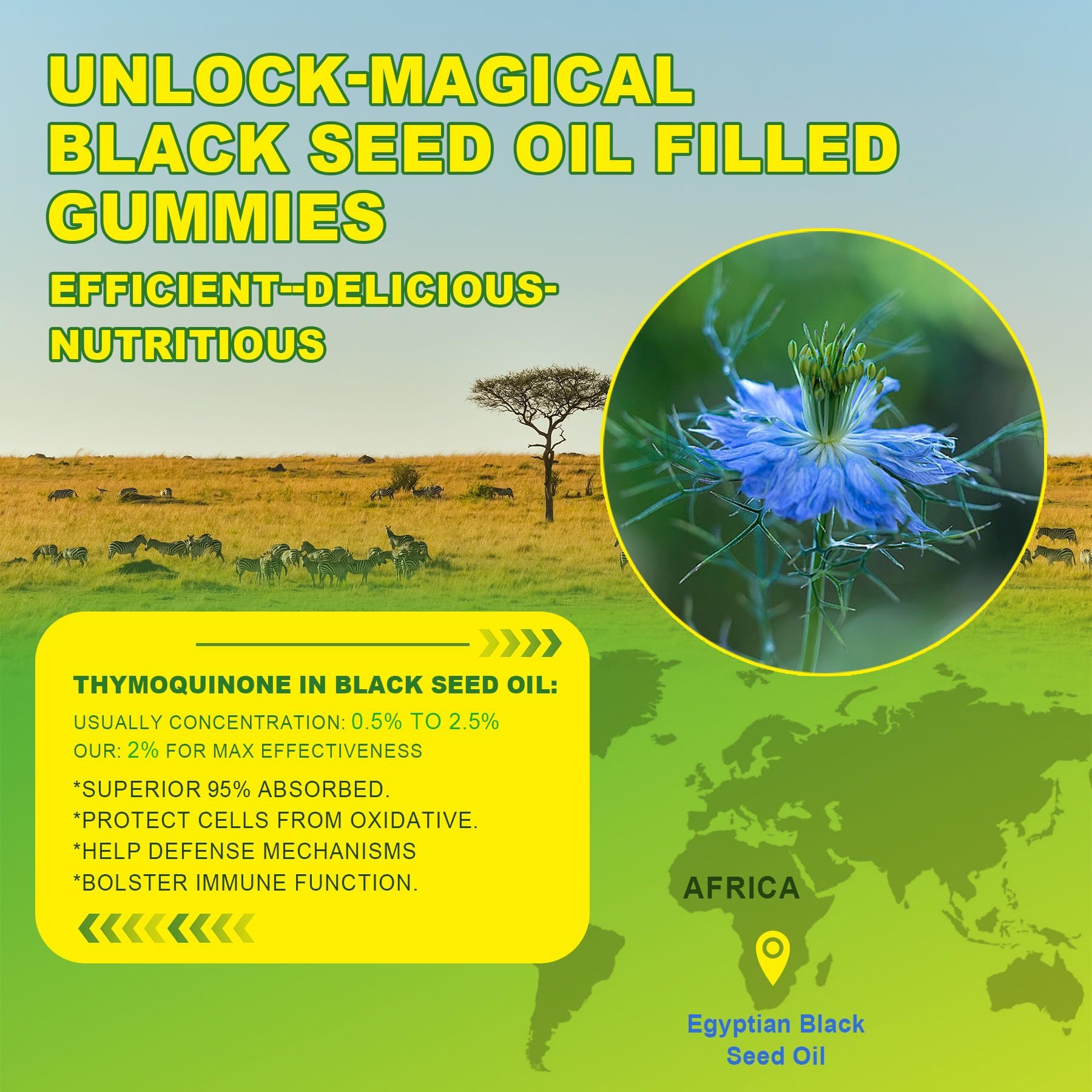 EnvyCure Black Seed Oil 318g label close-up