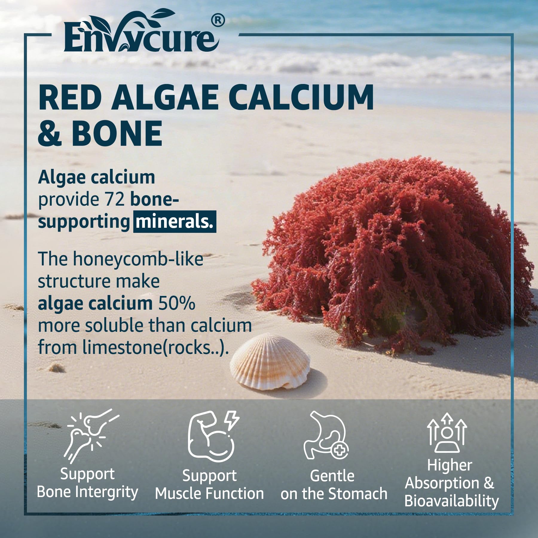 EnvyCure Calcium Gummies orange flavour close-up