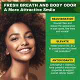 EnvyCure Chlorophyll Gummies ingredients list on packaging