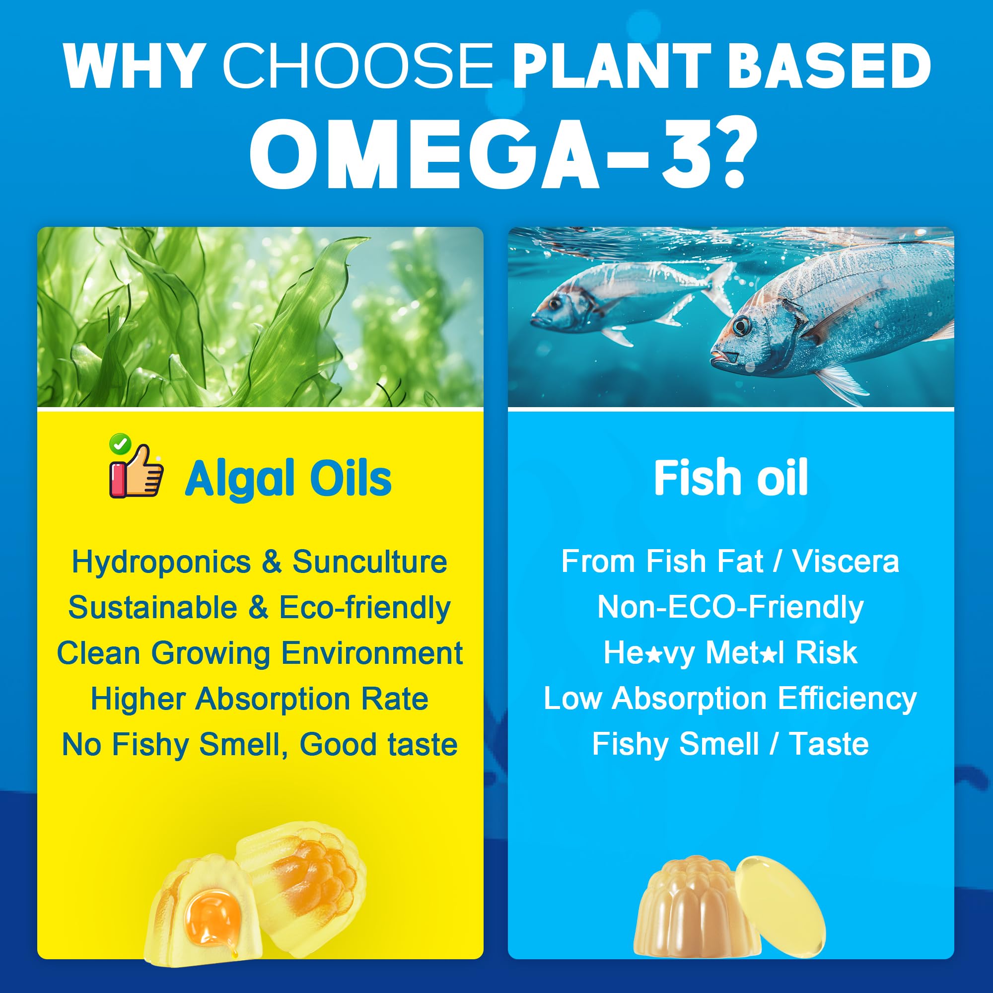 EnvyCure Vegan Omega-3 Algae Oil Gummies with CoQ10 and Magnesium