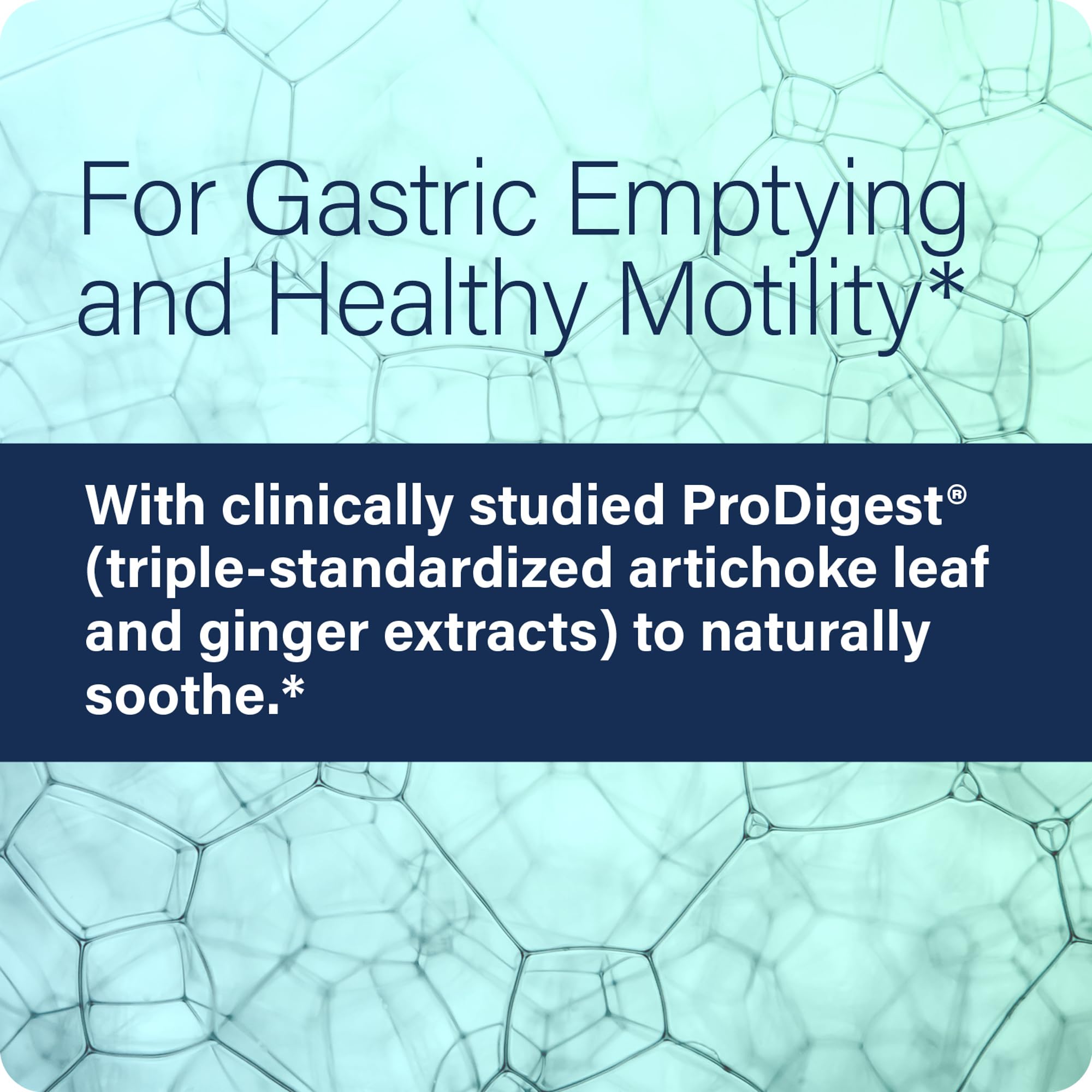 Enzyme Science Multi-Enzymes GI Motility Complex 60 Capsules close-up of ingredients