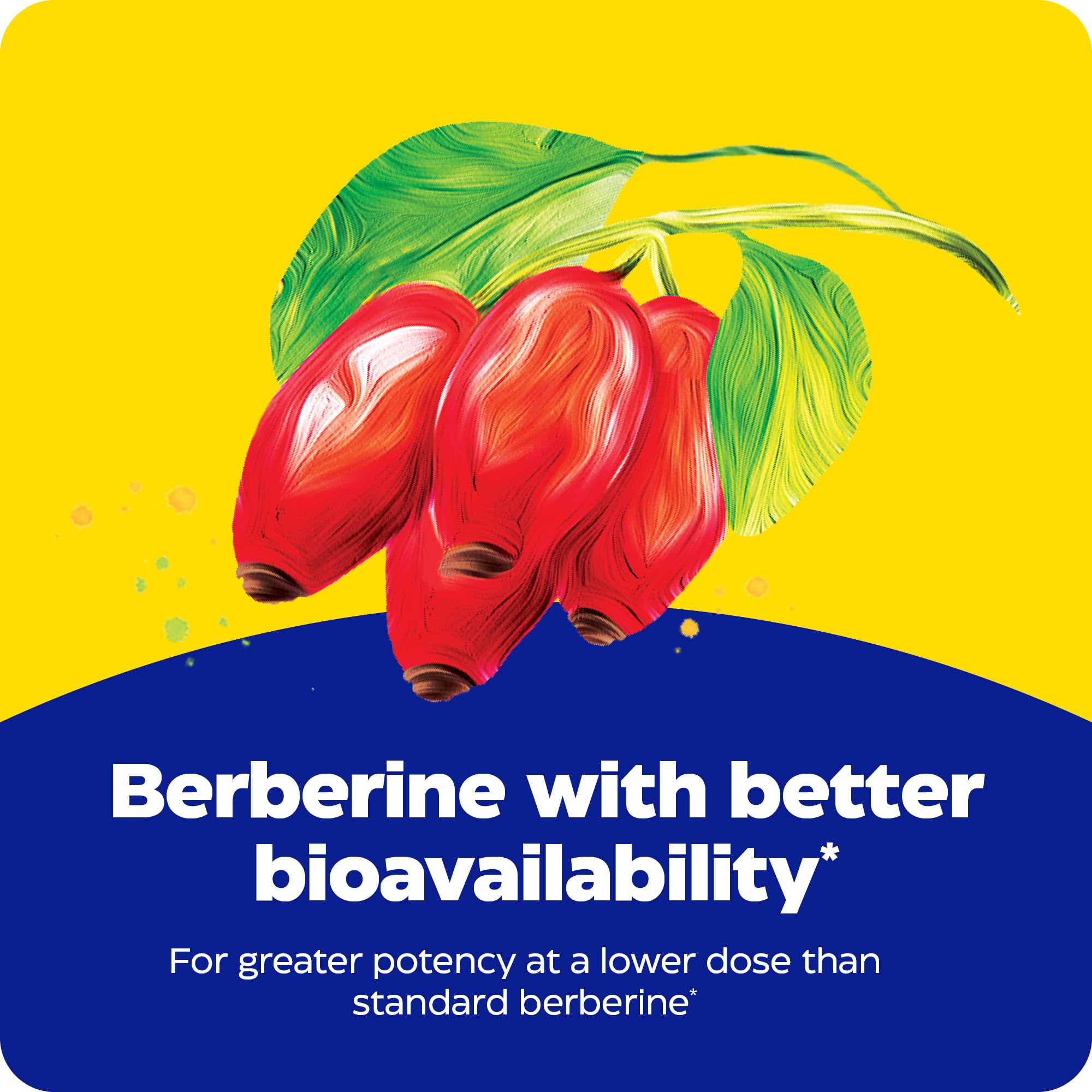 Enzymedica Berberine Phytosome Supplement 50g ingredients list